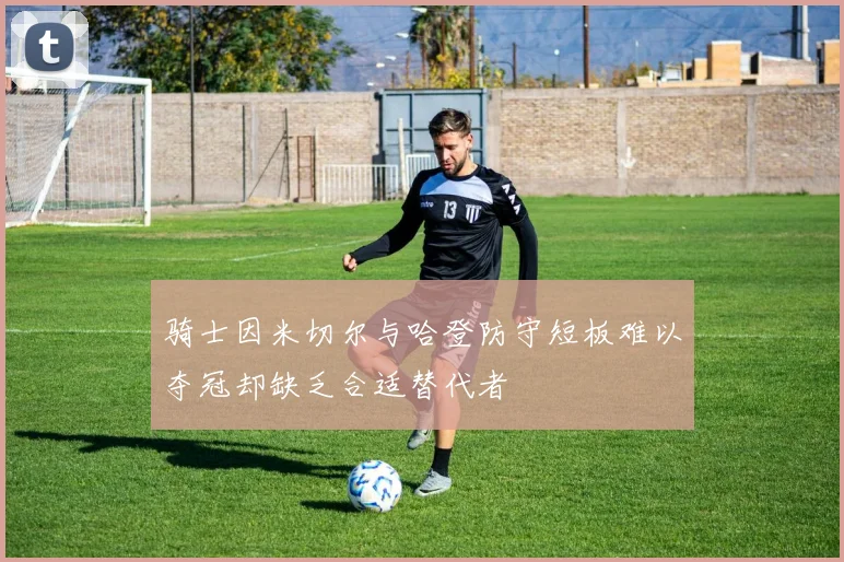 骑士因米切尔与哈登防守短板难以夺冠却缺乏合适替代者