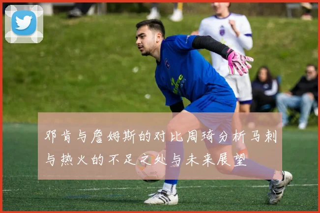 邓肯与詹姆斯的对比周琦分析马刺与热火的不足之处与未来展望