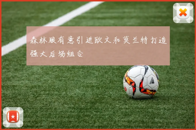 森林狼有意引进欧文和莫兰特打造强大后场组合