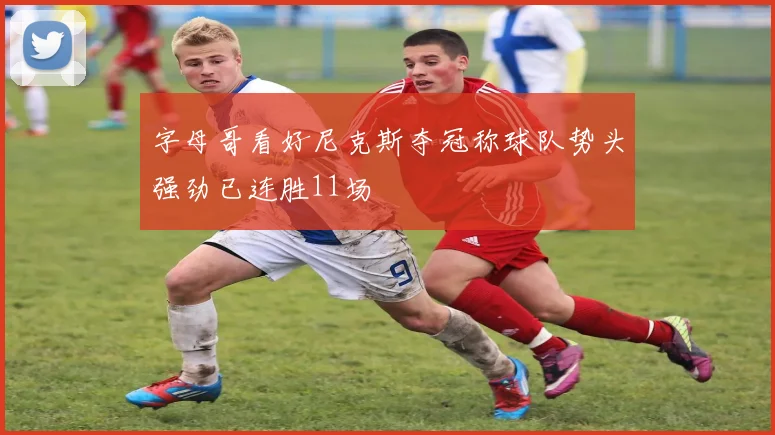 字母哥看好尼克斯夺冠称球队势头强劲已连胜11场