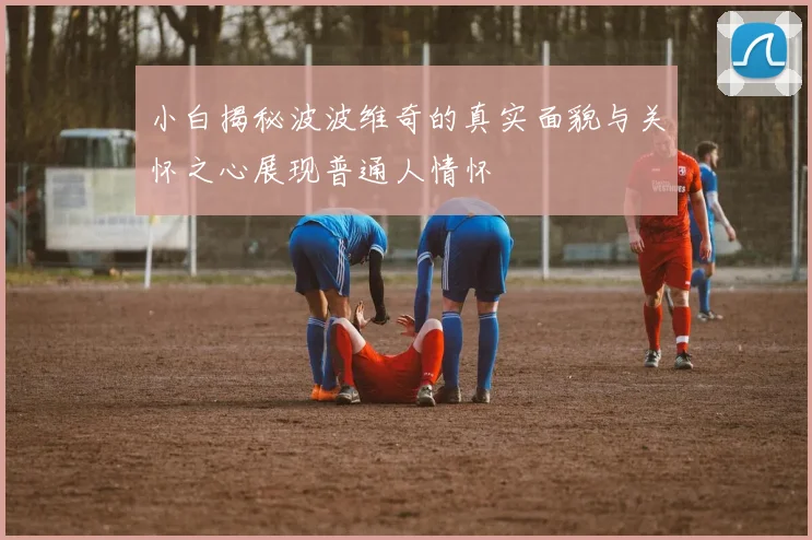 小白揭秘波波维奇的真实面貌与关怀之心展现普通人情怀